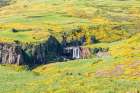 Ethiopia. Amhara. Waterfall in a hillside covered in wildflowers. Art Print